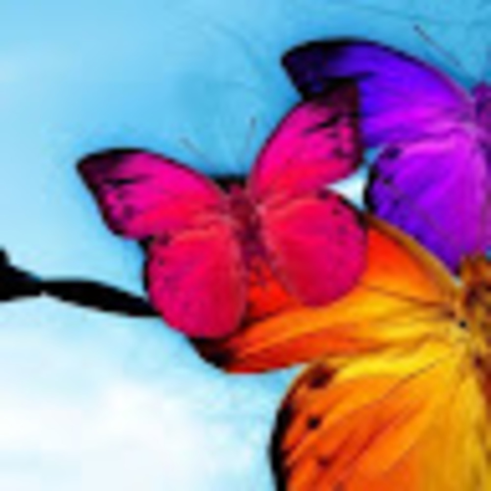 Meet your Posher, Stacey